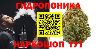 сатива Абинск