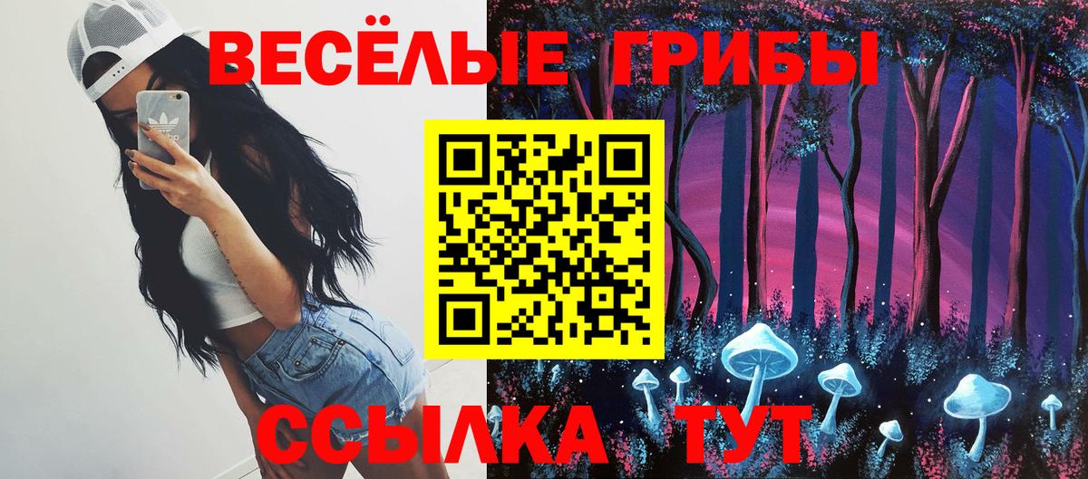 Альметьевск  Псилоцибиновые грибы GOLDEN TEACHER  Вход с VPN  купить   Псилоцибиновые грибы мицелий 